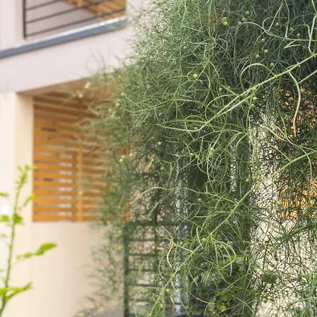 アパート Aquamarine *