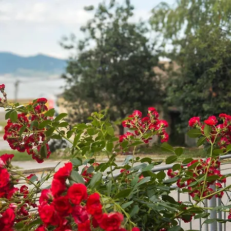 アパート Aquamarine *